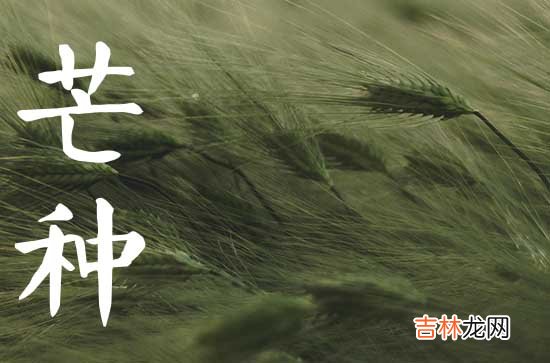 30条 2023年芒种节气的祝福词