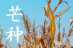 2023年芒种的来历和风俗芒种节气的传统习俗