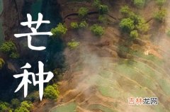 2023年芒种是什么季节的节气芒种节气的民间谚语是什么