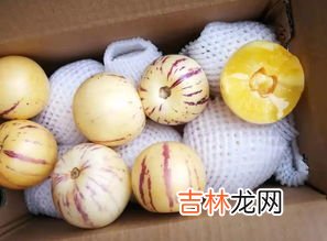 人参果产地,人参果在什么地方种植