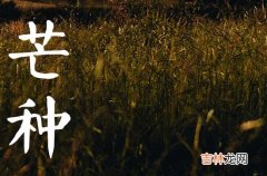 2023年芒种能搬家吗 哪天是搬家最旺的日子