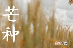 2023年芒种是几月几号为何如此“忙”