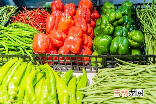网上买的菜种子怎么种,菜种子怎么种植方法
