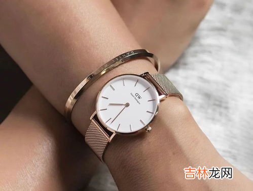 dw是什么,dw是什么软件
