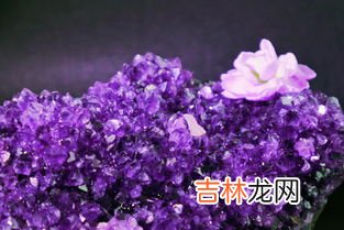 紫石英的功效与作用,&#65279;紫石英作用与功效，有什么副作用？