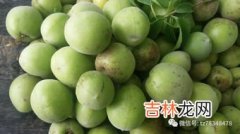 青李和青梅的区别,青梅和李子是一种东西吗