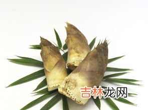 根茎类蔬菜,常见根茎类蔬菜有哪些