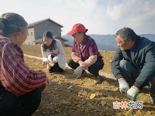 春耕是几月,农作物春耕时节是什么时候，各地春耕最佳时间