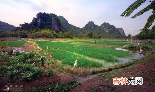 春耕是几月,农作物春耕时节是什么时候,各地春耕最佳时间