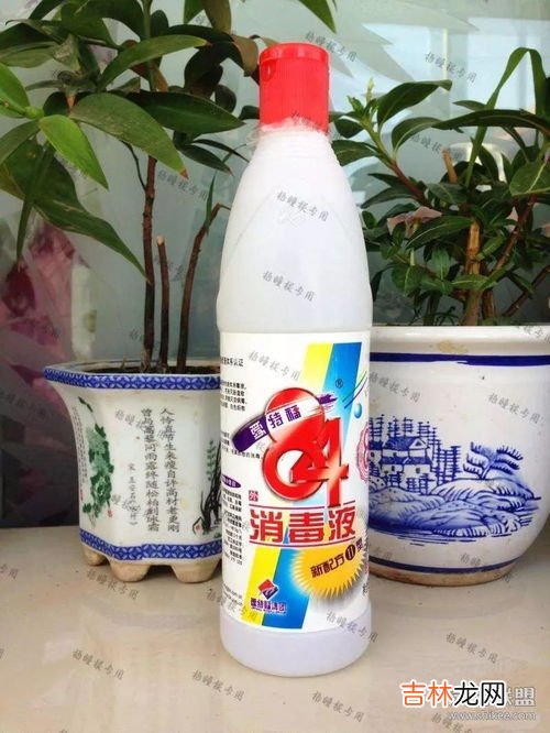 84消毒液的作用,84消毒液的作用?