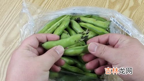 金蝉怎么保存才新鲜,金蝉是如何保鲜的