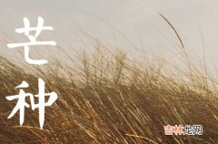 2023年芒种时间 2023年芒种是几月几号