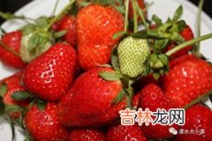 12月份是吃草莓的季节吗,草莓季节是几月份吃?