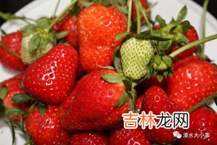 12月份是吃草莓的季节吗,草莓季节是几月份吃?