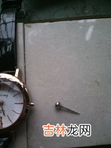 卸手表后盖用什么工具,卸下手表表带要用什么工具,打开手表后盖的工具叫什么?