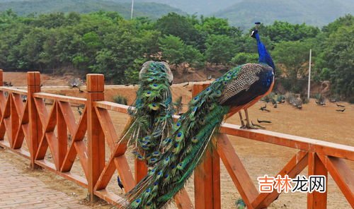 楚国是现在的哪个省,楚国是现在的哪个省