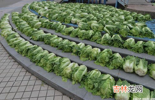买的菜怎么保持新鲜,蔬菜怎么样才能保持新鲜