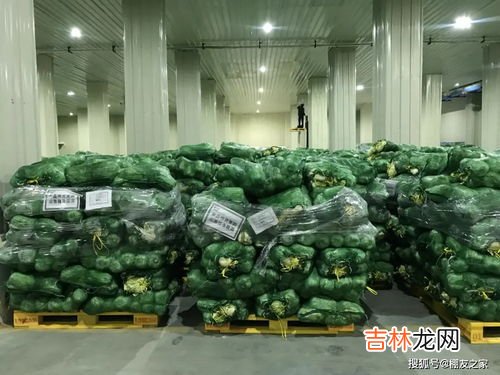 买的菜怎么保持新鲜,蔬菜怎么样才能保持新鲜