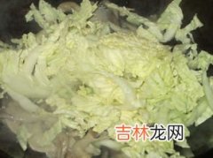 白菜和蘑菇能一起吃吗,蘑菇可以和白菜一起吃吗可不对