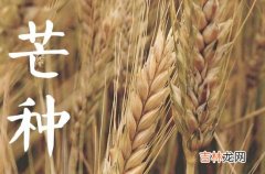 今年几月份芒种2023 2023年芒种是什么时候