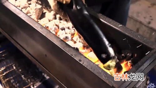 烤茄子的窍门,烤茄子的制作方法和配料