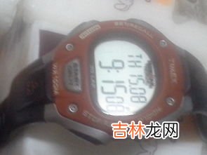 天美时手表型号看哪里,表怎么看机芯型号