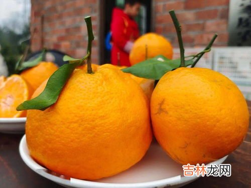 耙耙柑什么人不能吃,耙耙柑瓜瓤细致汁液丰硕,不适宜什么体质的人吃?