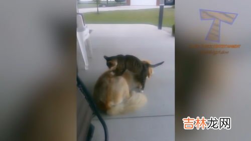 捶背的好处,经常捶背可以驱走寒气,这样的说法正确吗?为什么?