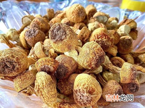 西双版纳有什么特产,西双版纳有什么特产