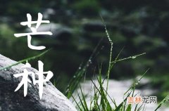 2023年芒种是几月几日几点 日历2023芒种