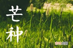 2023芒种节气可以领证吗 2023年的芒种这天领证好吗