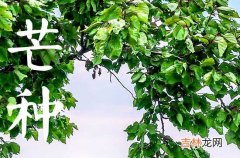 2023年芒种是几点几分几秒2023年芒种是几月几日