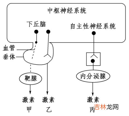 人体生命活动的原动力是,人体进行生理活动和生活活动所需的动力来源是什么?