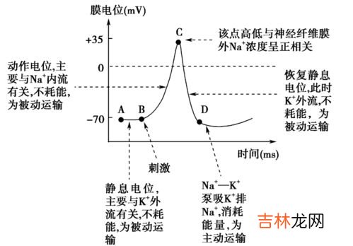 人体生命活动的原动力是,人体进行生理活动和生活活动所需的动力来源是什么?