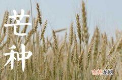 今年几号芒种节气2023