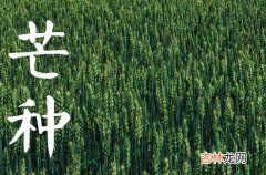 2023年芒种是什么季节,是几月几日