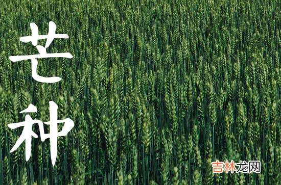 2023年芒种是什么季节,是几月几日