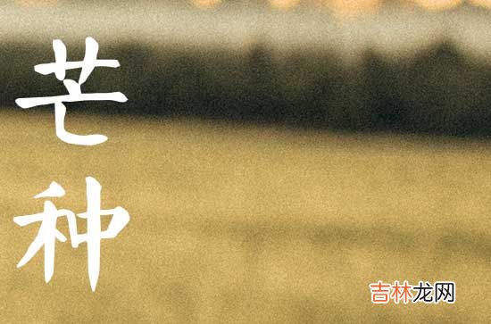 23年的芒种是什么时候