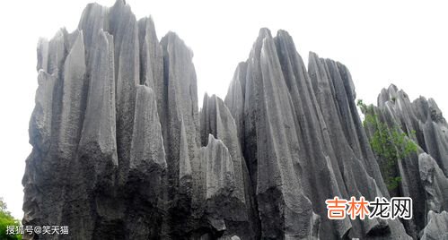 云南石林是什么地貌,石林的地貌是怎样形成的