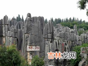 云南石林是什么地貌,石林的地貌是怎样形成的