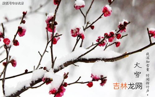 精选13句 大雪节气朋友圈怎么发,合适微信发朋友圈大雪节气说说