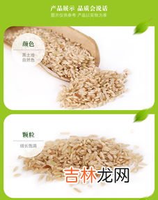 玄米是什么米,关于日本米,玄米,精米,白米是什么?各有什么区别
