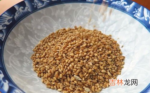 1斤麦芽放多少糯米,一斤小麦要几斤糯米做麦芽糖
