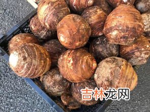 芋头发芽了还能不能吃,芋头发芽还能吃吗？