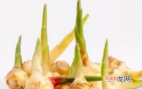 芋头发芽了还能不能吃,芋头发芽还能吃吗？