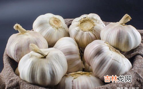 立冬了还能种大蒜吗,立冬后适合栽种什么菜苗 立冬后适合栽种哪些菜苗