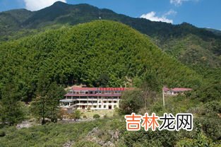 正山小种产地,正山小种是什么茶 正山小种原产地在哪