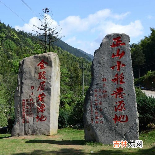 正山小种产地,正山小种是什么茶 正山小种原产地在哪