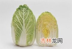 白菜和娃娃菜的区别,怎样辨别大白菜和娃娃菜