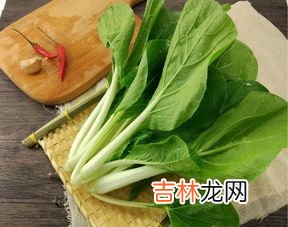 白菜和娃娃菜的区别,怎样辨别大白菜和娃娃菜